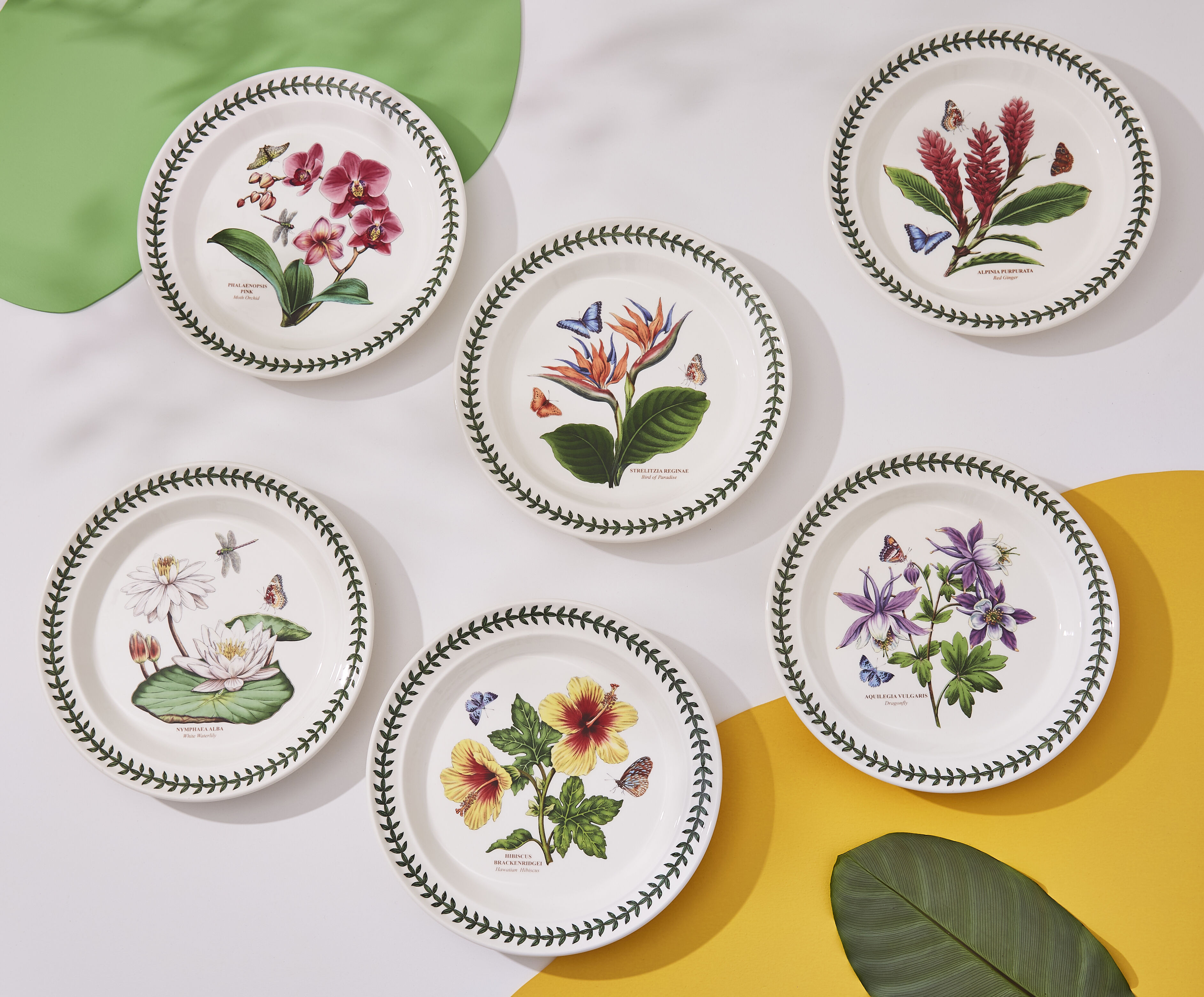 Botanic Garden Collection